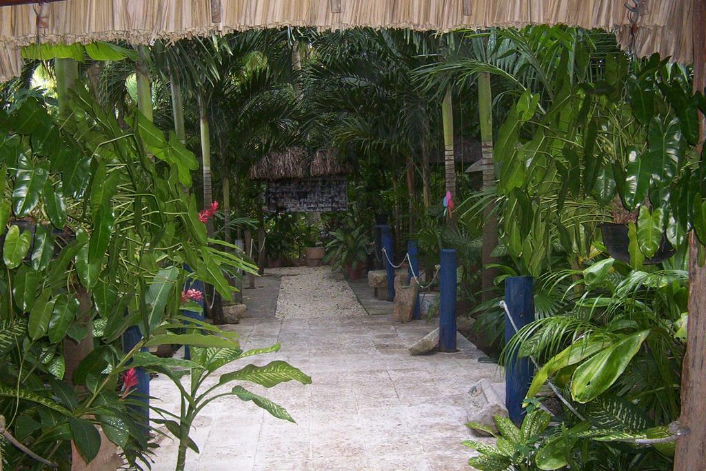 Ticul Posada El Jardin מראה חיצוני תמונה