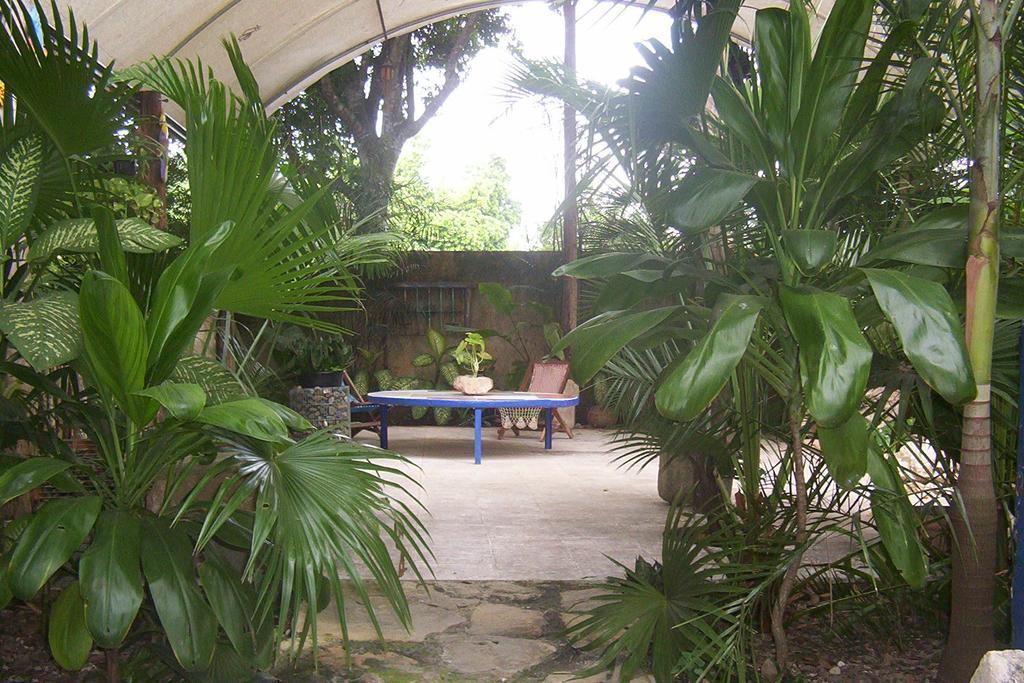 Ticul Posada El Jardin מראה חיצוני תמונה